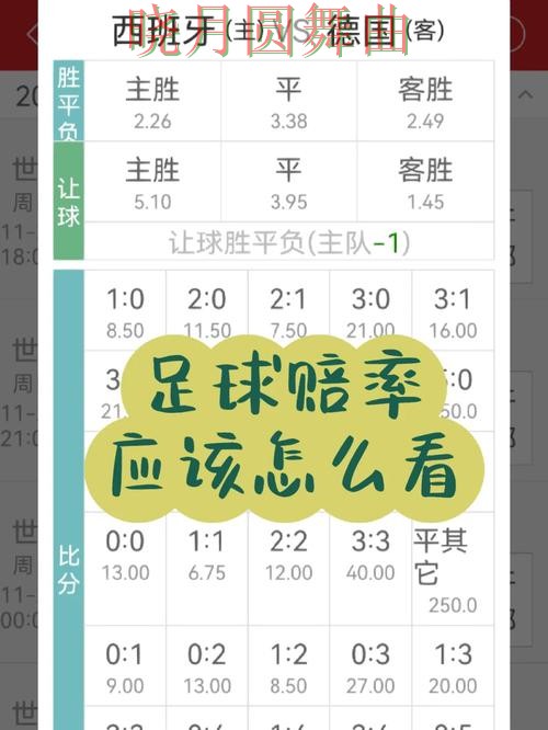 世界杯投注注册赔率变化怎么看更合理技巧总结 世界杯投注注册赔率变化怎么看更合理技巧总结